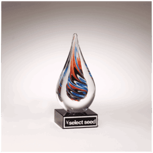 7 1/2" Teardrop Art Glass on Black Glass Base with Black Laserable Aluminum Plate