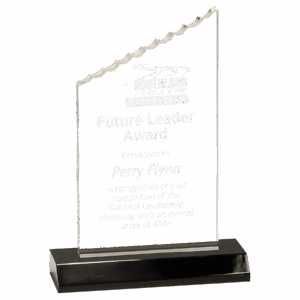 Medium Clear Acrylic Iceberg with Black Acrylic Base
