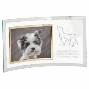 13" x 7 1/2" Jade Glass Crescent with 7" x 5" Picture Frame