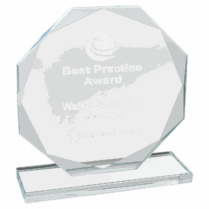 6 1/2" Octagon Clear Glass Award