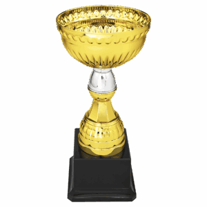 8" Gold & Silver Metal Cup with Plastic Stem and Base