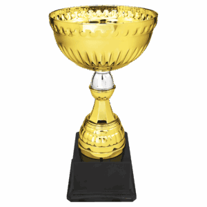 10 1/4" Gold & Silver Metal Cup with Plastic Stem and Base