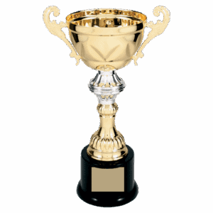10" Completed Metal Cup Trophy on Plastic Base