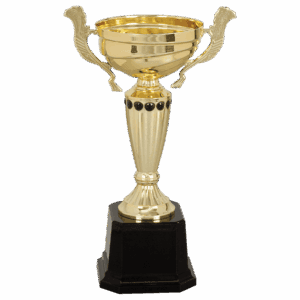 10" Completed Metal Cup Trophy on Plastic Base