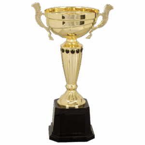 11 1/2" Completed Metal Cup Trophy on Plastic Base