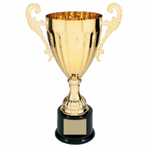 12" Completed Metal Cup Trophy on Plastic Base