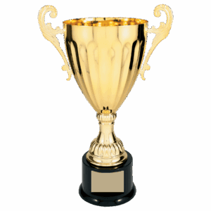 13 1/4" Completed Metal Cup Trophy on Plastic Base