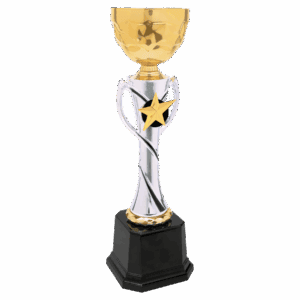 12 1/4" Silver/Gold Completed Metal Cup Trophy
