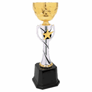 12 3/4" Silver/Gold Completed Metal Cup Trophy