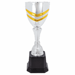 11" Completed Metal Cup Trophy on Plastic Base
