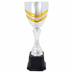 13 1/4" Completed Metal Cup Trophy on Plastic Base