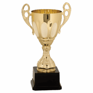 11" Completed Metal Cup Trophy on Plastic Base