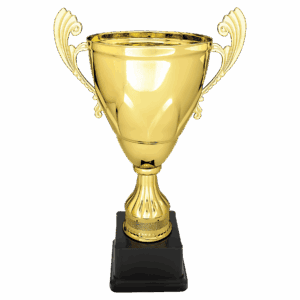 13" Completed Metal Cup on Plastic Base