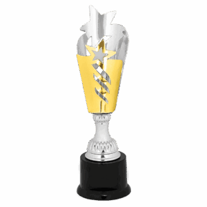 11" Silver & Gold Star Completed Metal Cup Trophy on Plastic Base