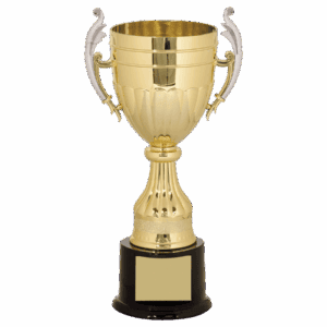 11" Gold/Silver Plastic Completed Cup Trophy