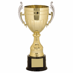 13" Gold/Silver Plastic Completed Cup Trophy