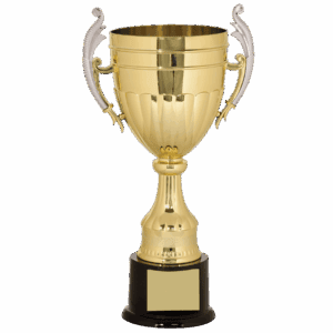16 3/4" Gold/Silver Plastic Completed Cup Trophy