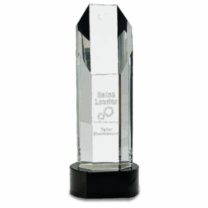 10 3/4" Octagon Slant-Top Crystal on Black Pedestal Base