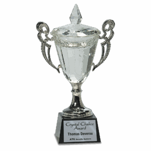 11 1/4" Crystal Cup with Silver Handles and Stem