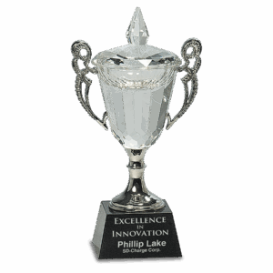 8" Crystal Cup with Silver Handles and Stem