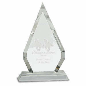 8 1/2" Crystal Diamond on Clear Pedestal Base