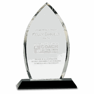 9 1/2" Clear Crystal Oval on Black Pedestal Base