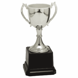 6 3/4" Completed Zinc Cup Trophy