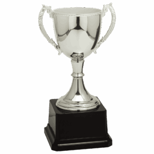 8 3/4" Completed Zinc Cup Trophy