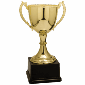 11" Completed Zinc Cup Trophy