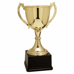18 1/4" Completed Zinc Cup Trophy