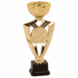 9 5/8" Gold Ribbon 2" Insert Holder Easy Cup Kit