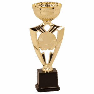 10 3/4" Gold Ribbon 2" Insert Holder Easy Cup Kit