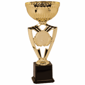 15" Gold Ribbon 2" Insert Holder Easy Cup Kit