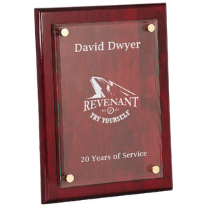 9" x 12" Rosewood Piano Finish Floating Glass Plaque