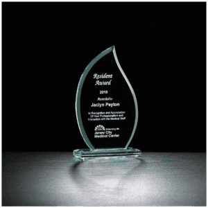 6 1/2" Flame Series Glass Award