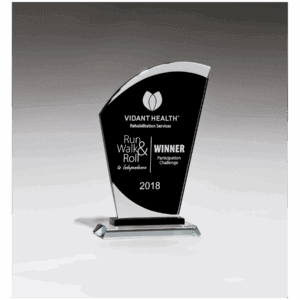 5 1/2" x 8 3/4" Sail Shaped Glass Award with Black Center