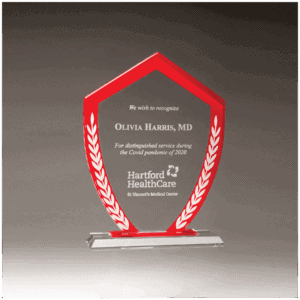 6 5/8" x 8 7/8" Shield Shaped Glass Award with Red Border and White Laurel Leaves