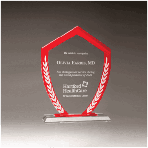 7 1/4" x 9 5/8" Shield Shaped Glass Award with Red Border and White Laurel Leaves