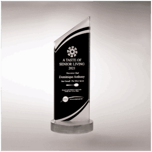 3 1/2" x 10 7/8" x 3/8" Thick Zenith Series Black Silkscreened Glass with Frosted Accents, Heavy Aluminum Base