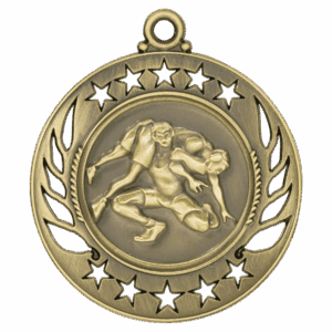 2 1/4" Wrestling Galaxy Medal