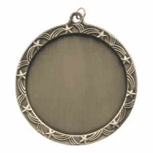 2 1/2" Stars 2" Insert Holder Medal