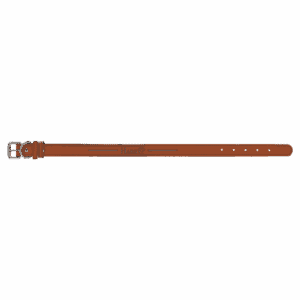 Large 23" x 1" Laserable Leatherette Dog Collar
