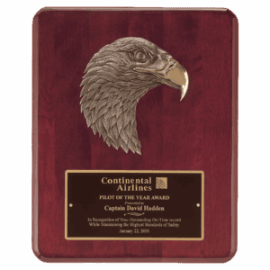 10 1/2" x 13" Plate