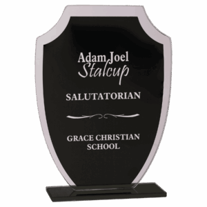 7 1/4" Black Shield Reflection Glass Award
