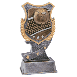 6" Volleyball Shield Award